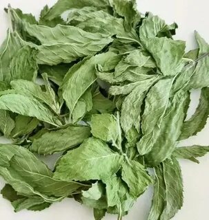 تصویر 4 از فروشندگان سبزی نعناع خشک اعلا در شیراز + خرید عمده